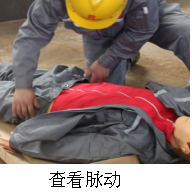圖片36.png